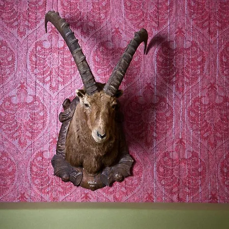 Wohlfühlhotel Hubertushof Hotel Stuben am Arlberg